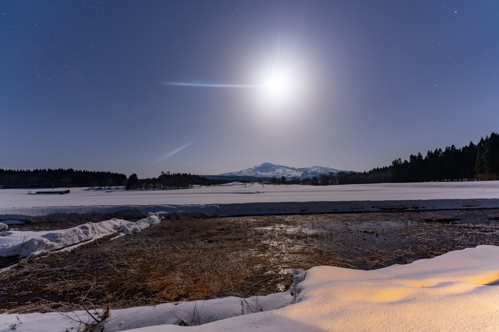 Moonlit night