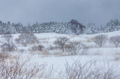 雪降る丘