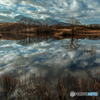 Scenery of the mirror