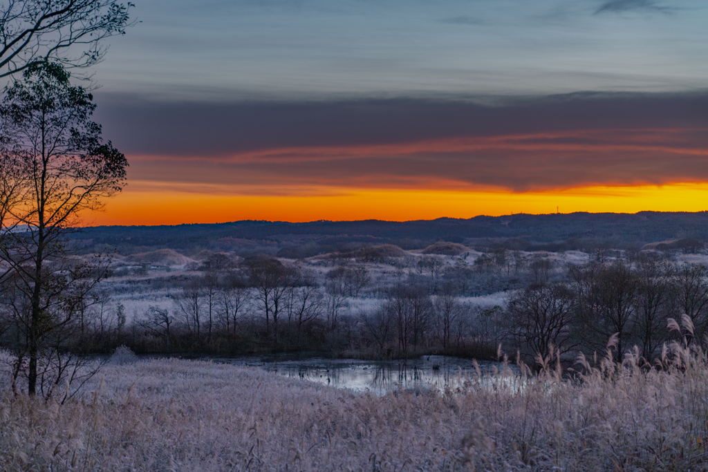 frost