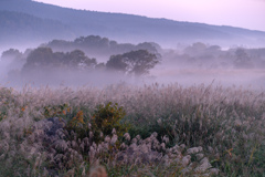 Autumn scenery