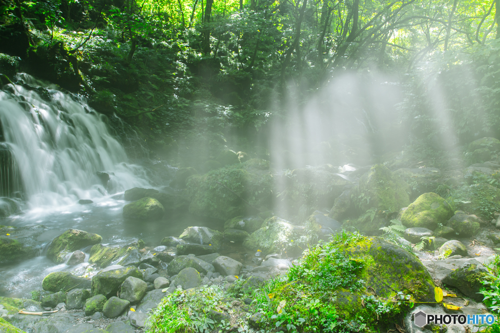 Morning light ～ Mototaki