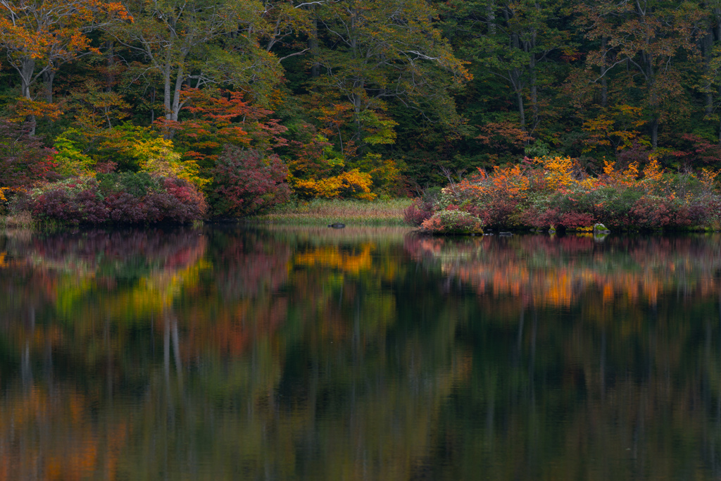 Autumn coloring