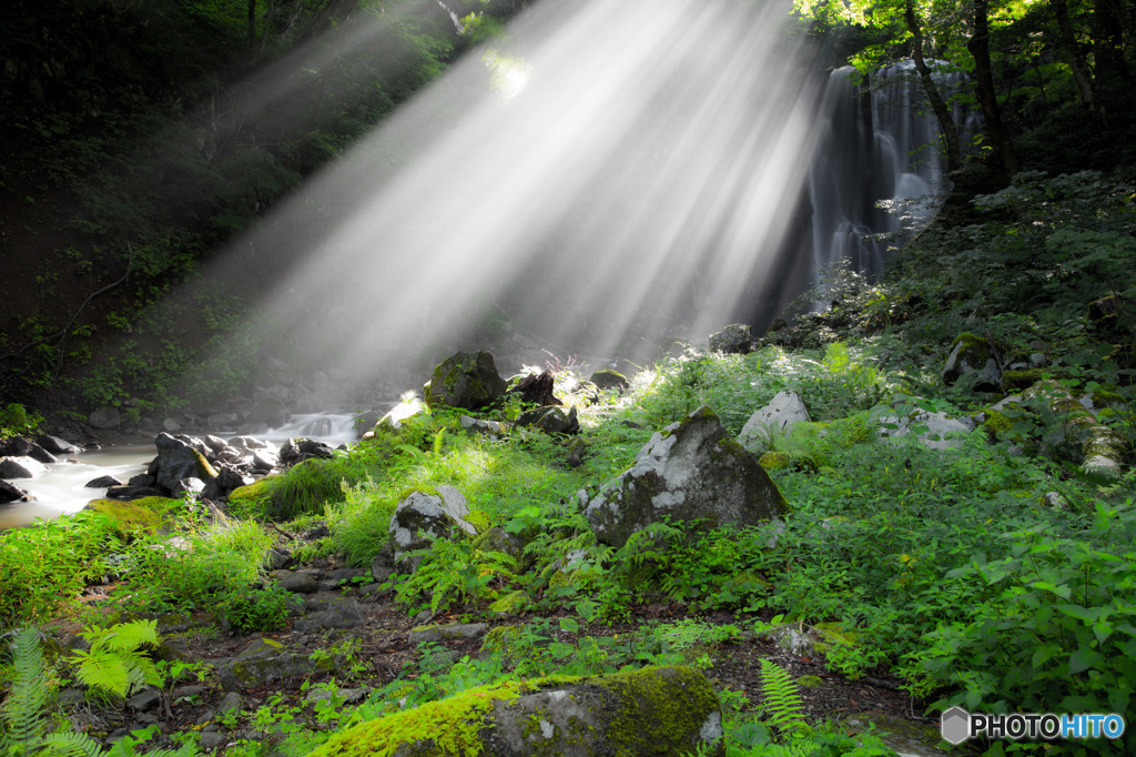 Summer, sunlight