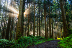 Shining light