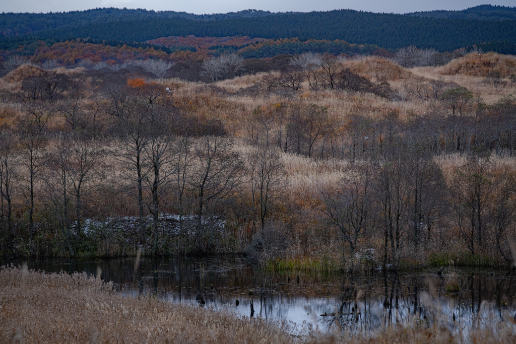 Late autumn