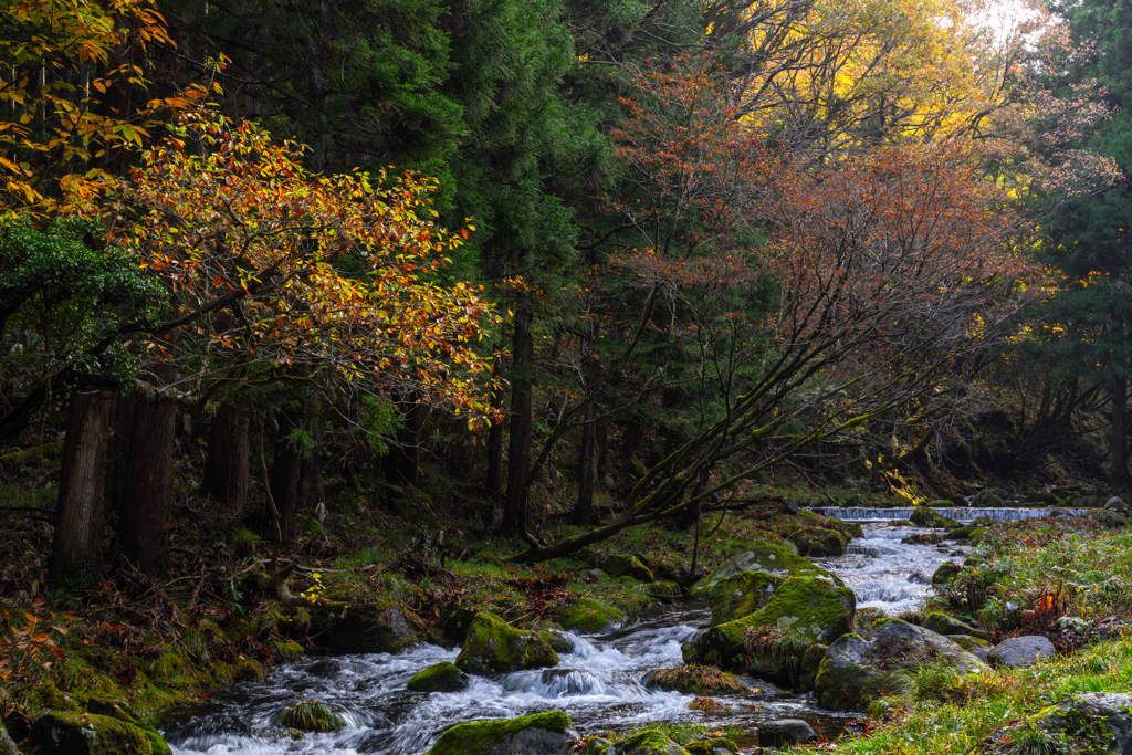 late autumn