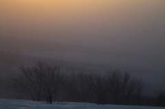 Foggy morning