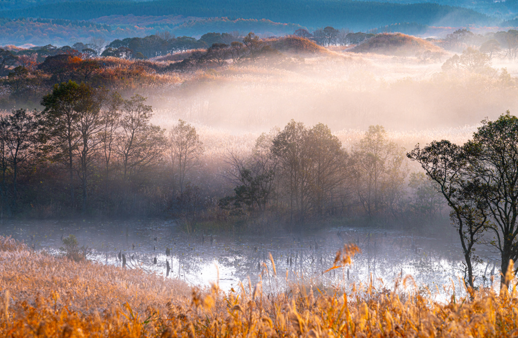 Late autumn