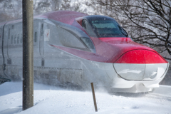 In the snow