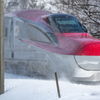 In the snow
