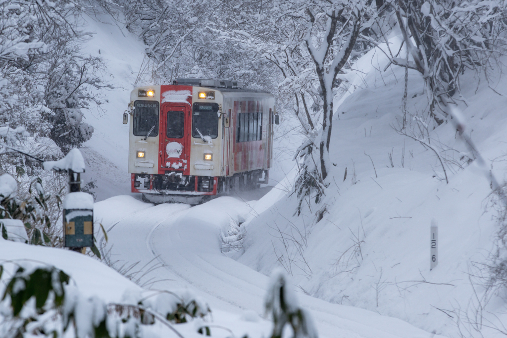 snow cover