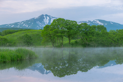 morning mist Toushi