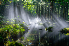 refraction
