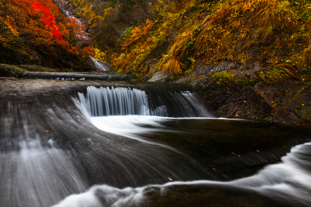 Autumn 〜 Toudou
