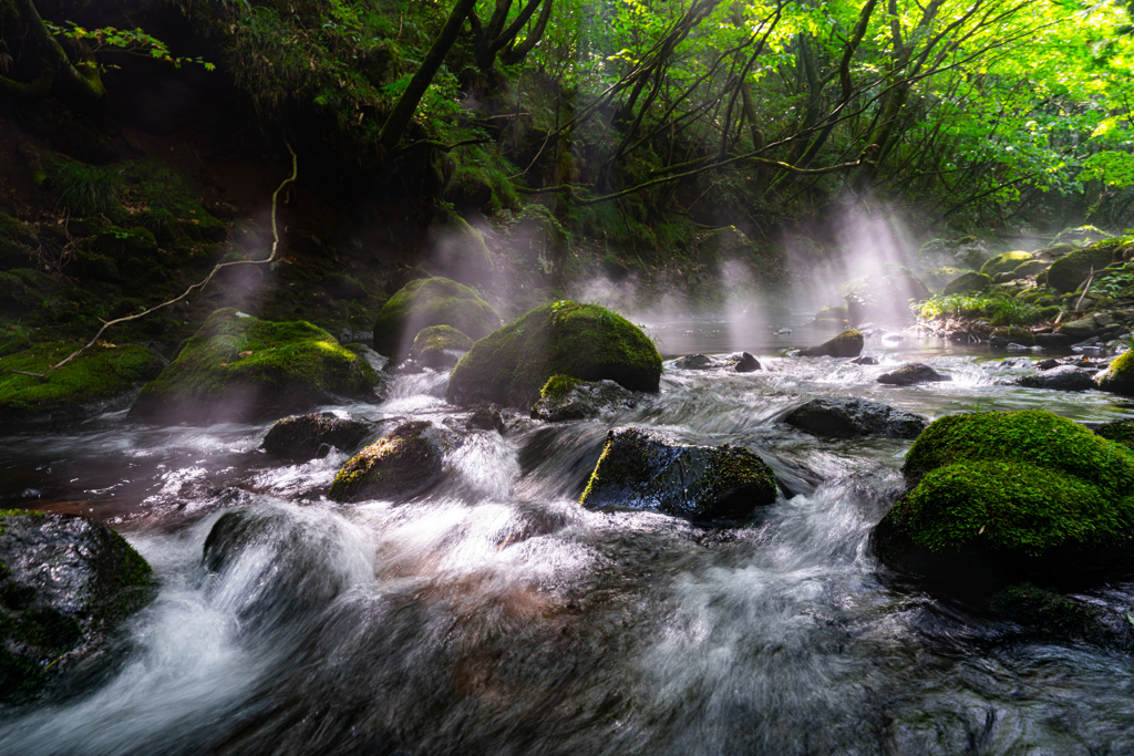 Light falls