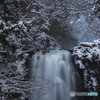 White fall