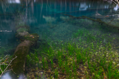 Blue spring water