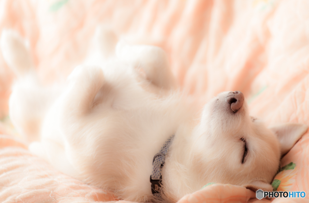 Relaxation