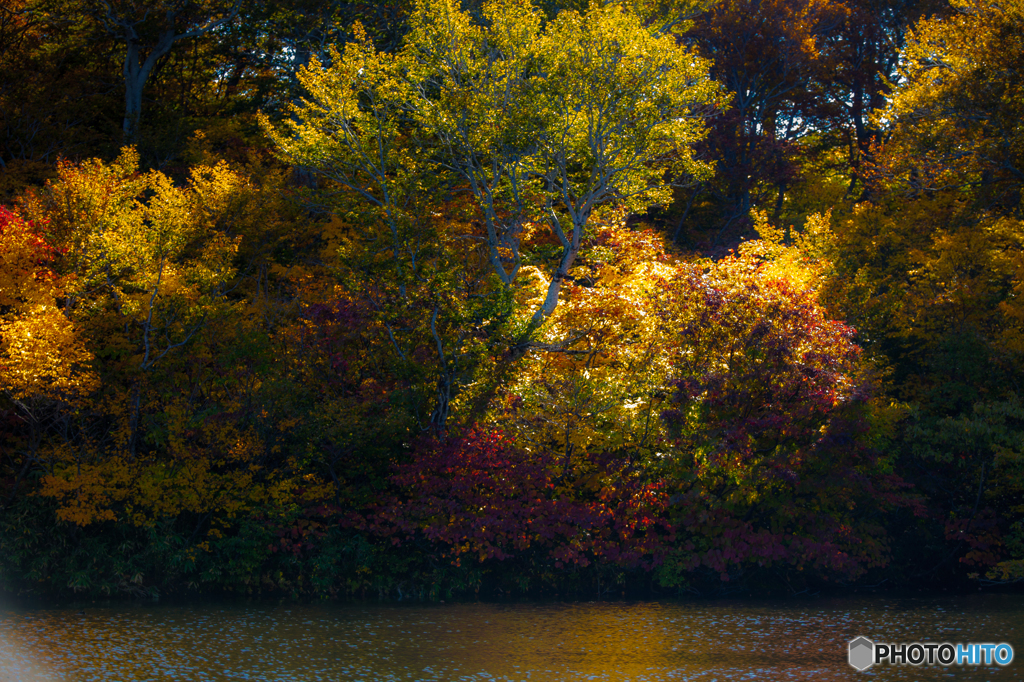 Autumn ridge ～ Zennjinnnuma 4