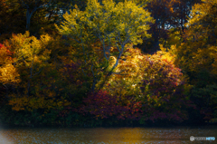 Autumn ridge ～ Zennjinnnuma 4