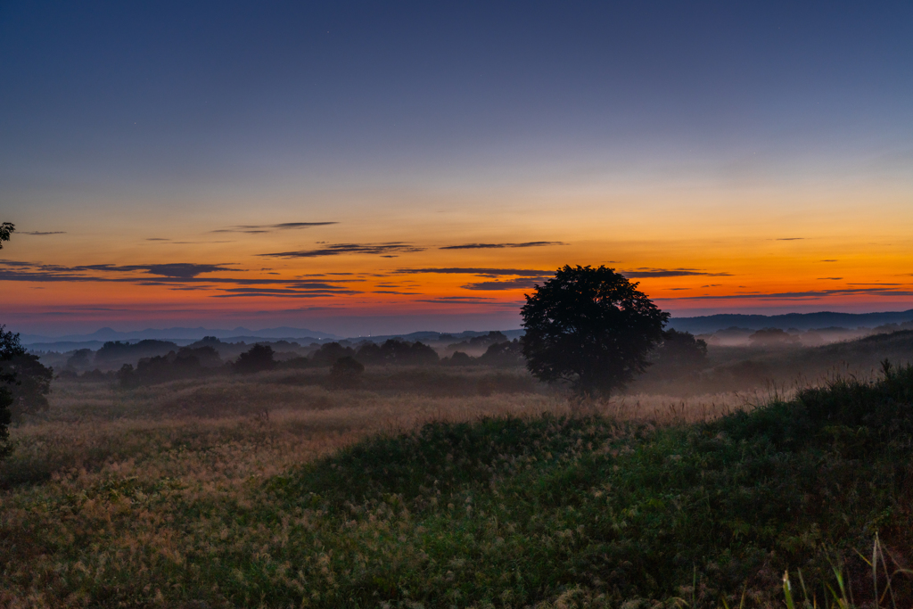 early autumn gradation