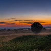 early autumn gradation