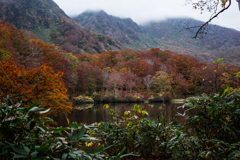 Autumn 〜 Turumaike