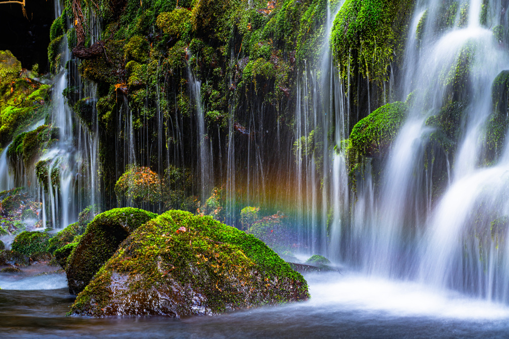 Rainbow / spring
