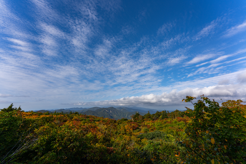 Autumn sky