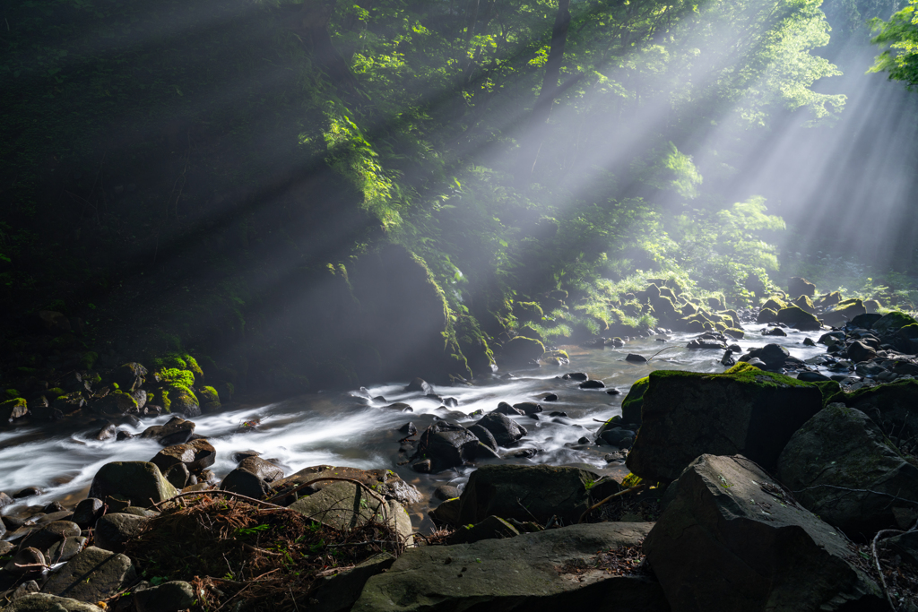 Afternoon light