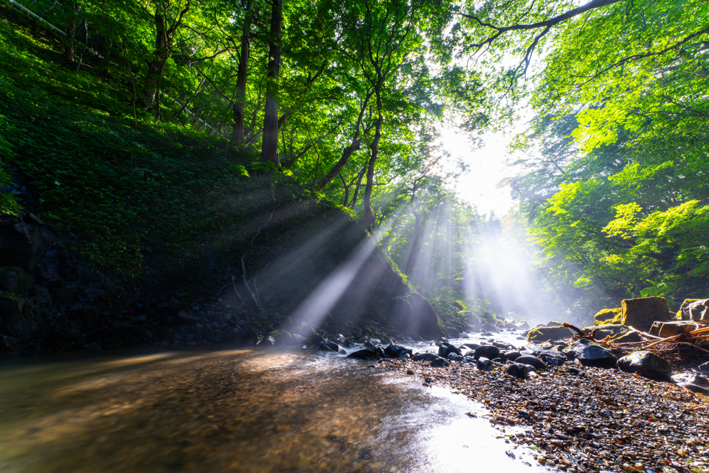 afternoon sun