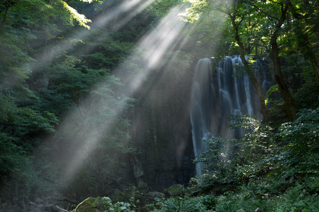 Morning light