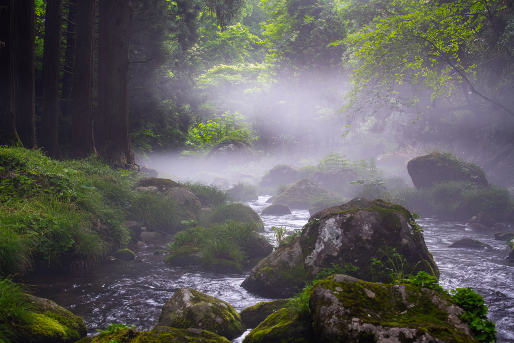 river fog