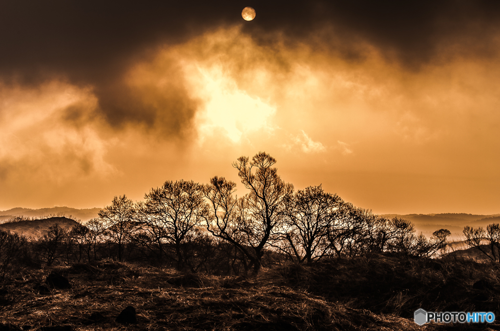 Early spring ～ Toushi View 2