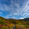 Autumn color