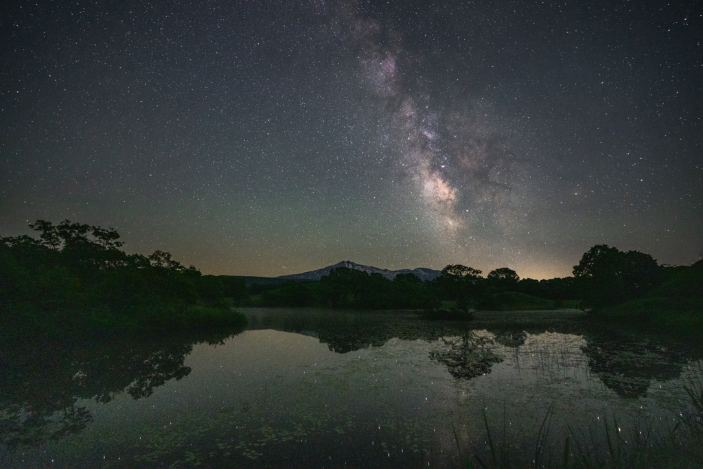 Late night marshland
