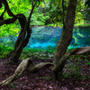 Forest fountain