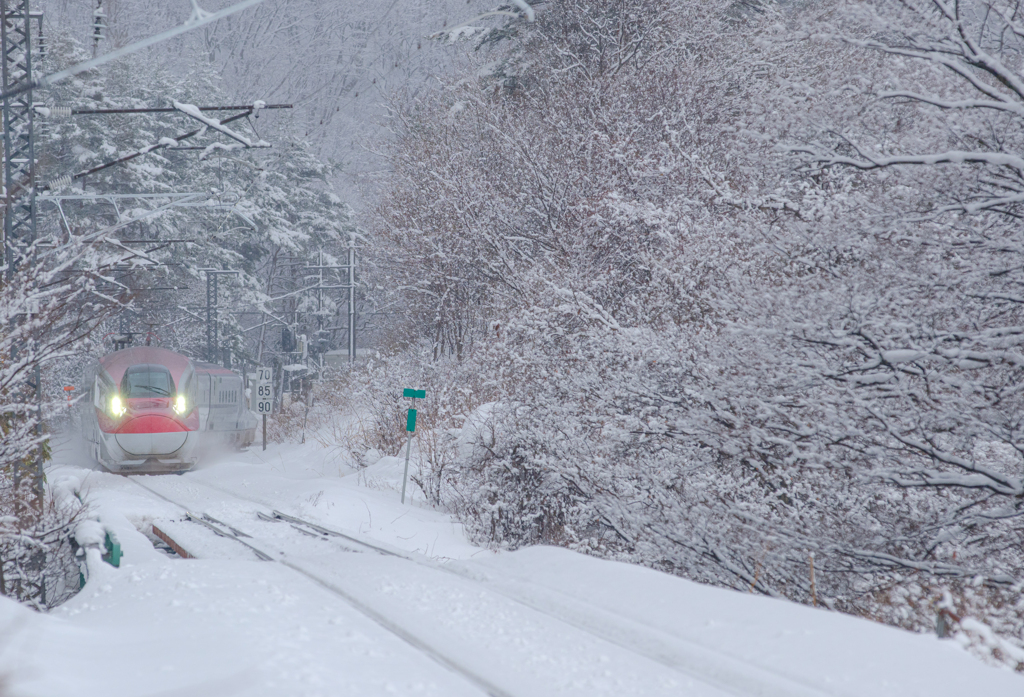 In the snow