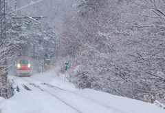 In the snow