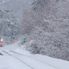 In the snow