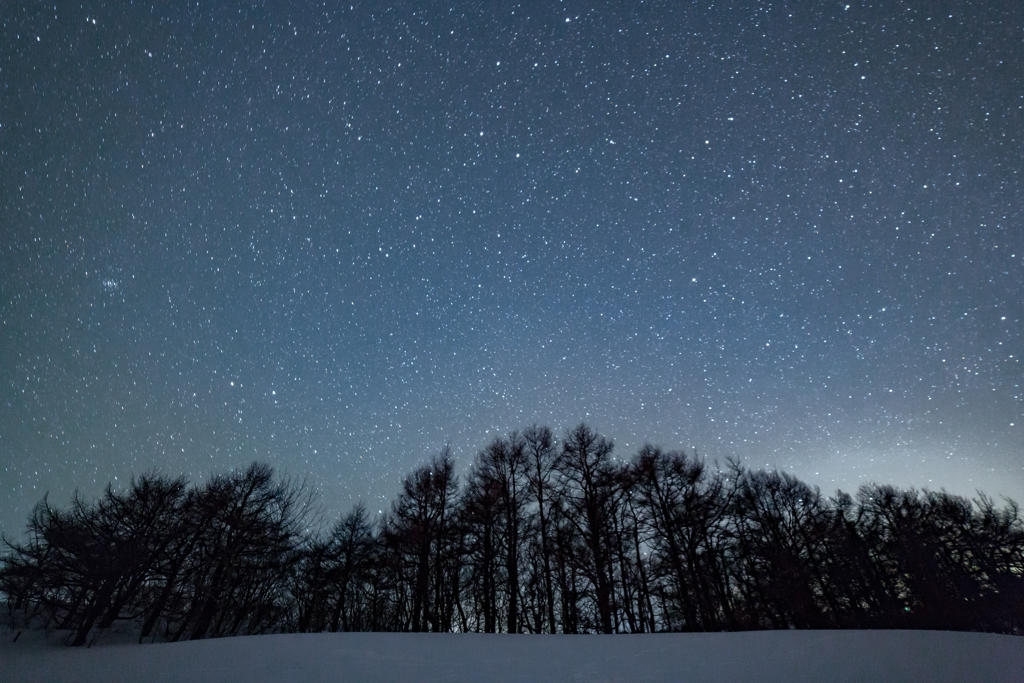 Star snowy field