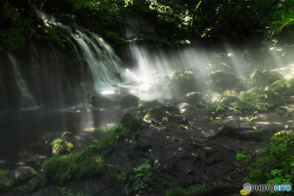 Morning light ～ Mototaki