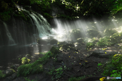 Morning light ～ Mototaki