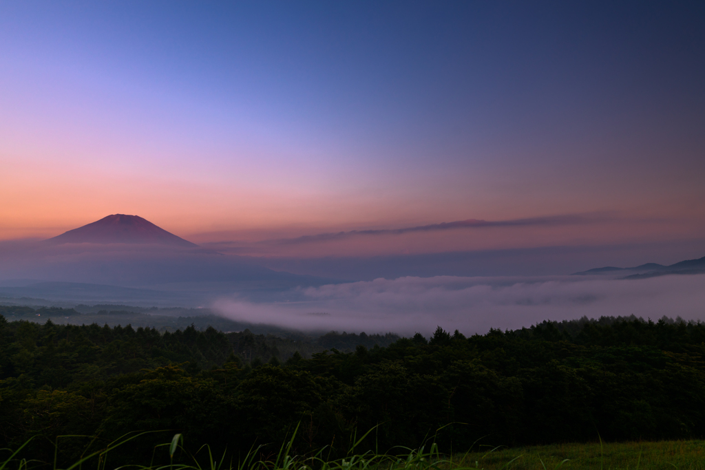 Breaking Dawn