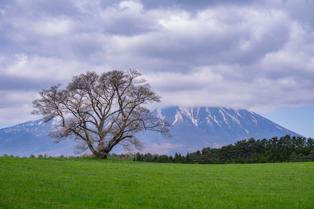 spring on the farm