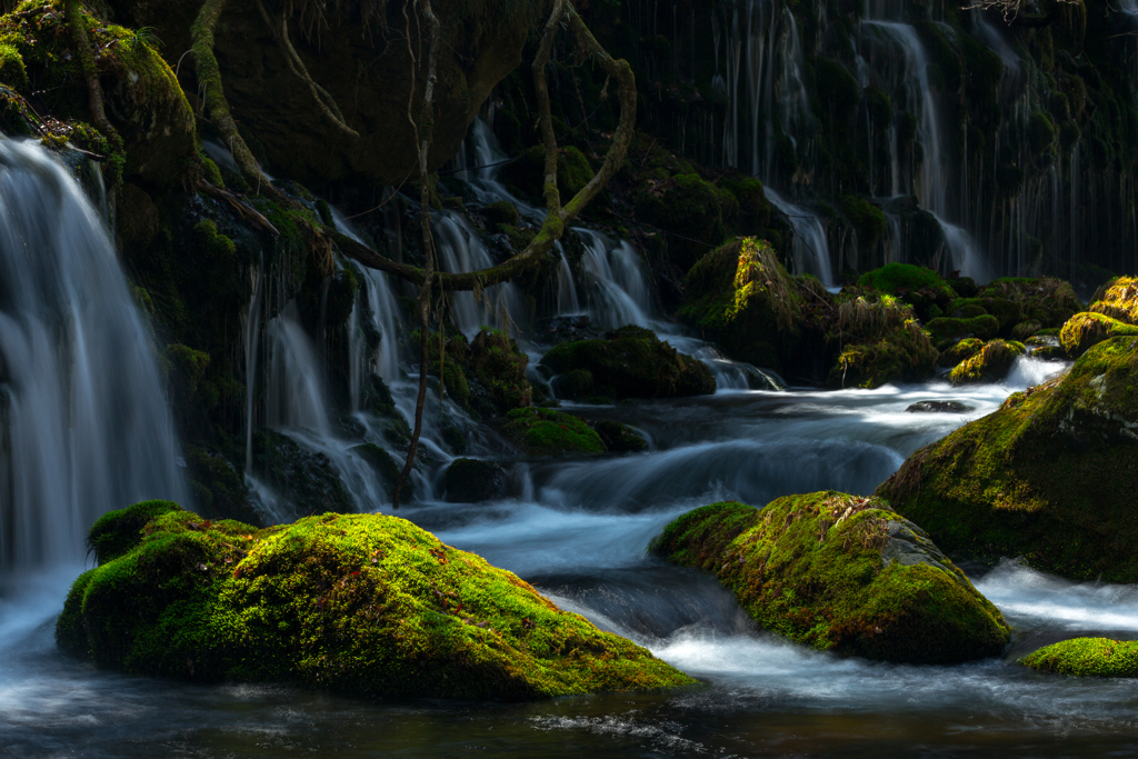 Spring flow