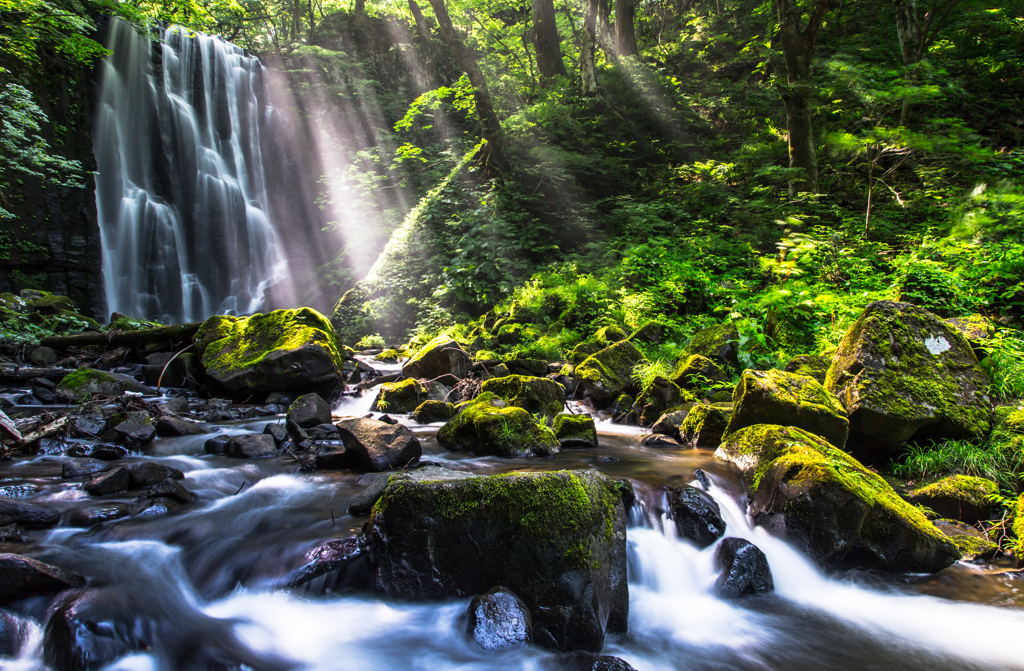 Morning light