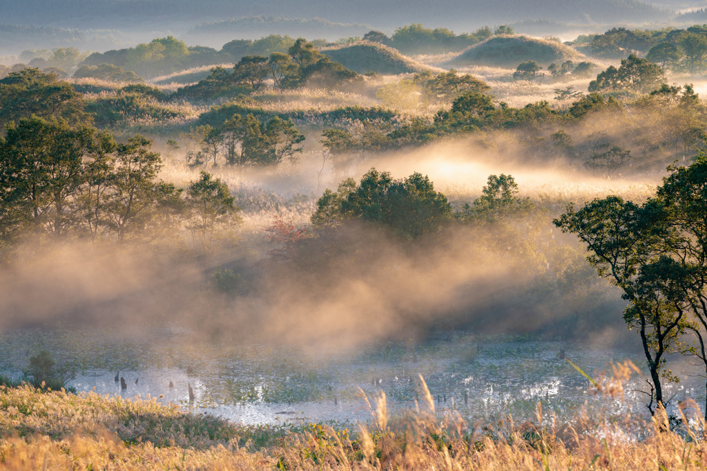 Morning mist