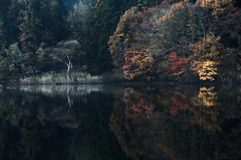 Lakeside